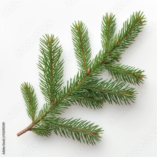 Branch of green Balsam on a white background. AI