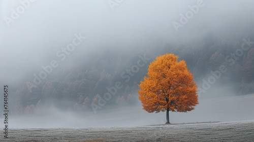 In a sea of gray mist, a lone tree bursts with autumn hues, defying the monotonous backdrop of the foggy, undulating terrain.