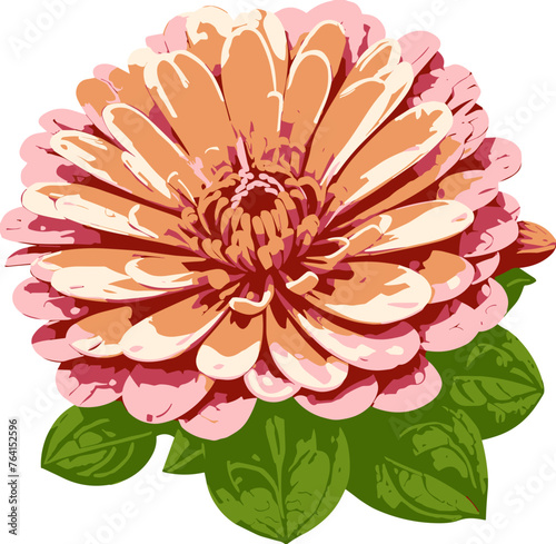 Blooming pink Zinnia flower illustration isolated on transparent background svg, floral design element for card, spring, summer decoration, vintage style, gardening, botany