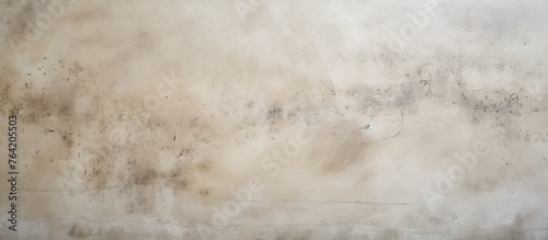 An arafed wall displays a surface covered in black and white mold, next to a black and white fire hydrant