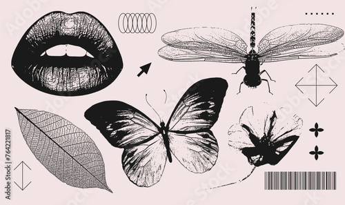 Lips, butterfly, dragonfly, flower, leaf realistic elements with a retro grainy photocopy effect. Y2k print for brutal design. Grain effect and stippling. Vector dots textured illustration collection.