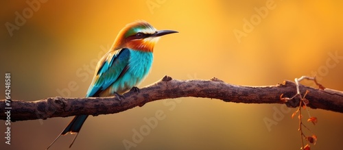 Bird perched on tree branch