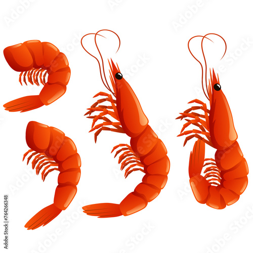 Cute shrimp set. Cartoon animal character design. Swimming crustaceans icon collection. Flat vector illustration isolated on white background