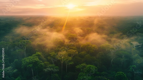 Beautiful green amazon forest landscape at sunset sunrise, bird perspective, copy and text space, 16:9