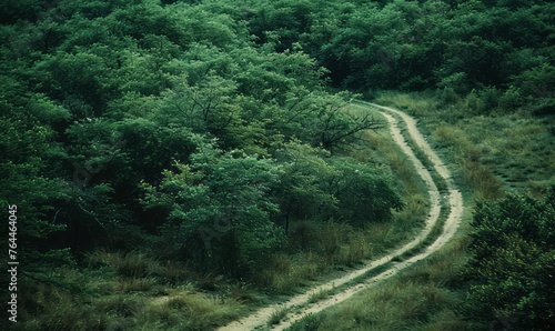 Aerial footage reveals a green forest and a dirt road.