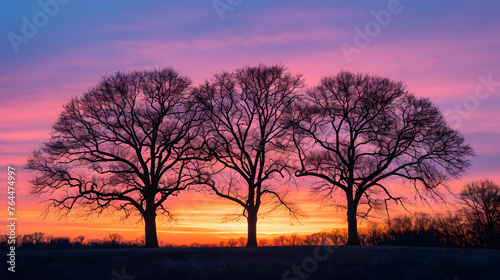 The silhouette of trees against a colorful sunset sky. Experiment with different tree shapes and compositions
