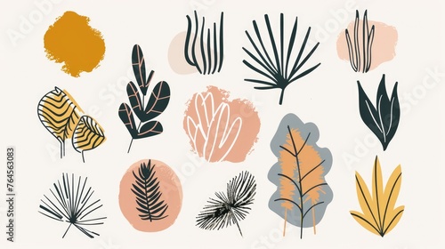 A collection of minimalist abstract nature art shapes