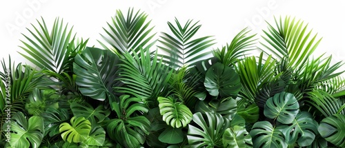 The serene ambiance of an indoor jungle garden with tropical plants against a white backdrop exudes natural tranquility.