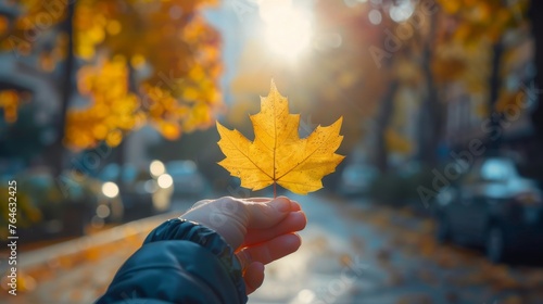 Hand holding a yellow fall leaf close-up in sunlight