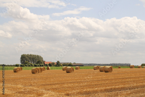 a field with round straw bales and a blue sky with clouds in the dutch countryside