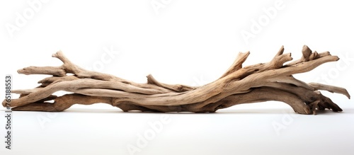 Driftwood on a white surface