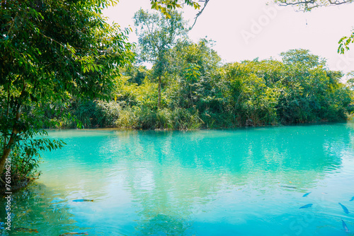 Partial view of the Formoso River, in the municipal resort, in Bonito, in Mato Grosso do Sul. The city is one of the main ecotourism destinations in Brazil