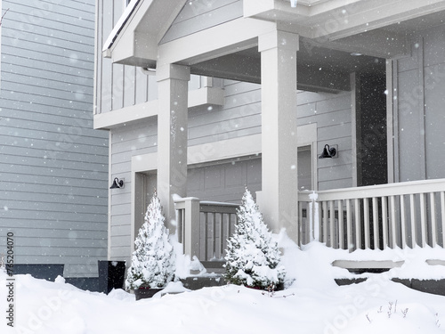 Winter Embrace. A Home Snow-Covered Entryway