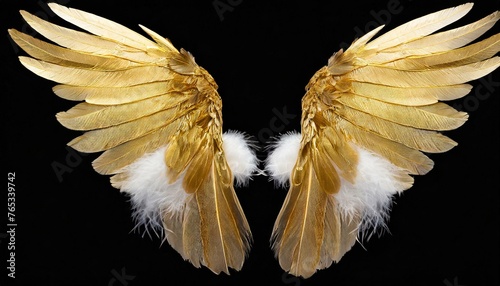 Pair of gold wings and feathers isolated on transparent background