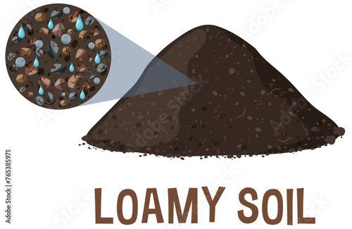 Vector illustration of a cross-section of loamy soil