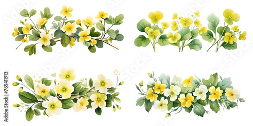 Primrose branches with green leaves watercolor illustration. Flat vector illustration isolated on white background