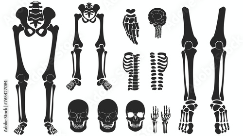 bone joints icon isolated sign symbol vector illustration