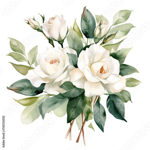 Night Flowering Jasmine flower Watercolor illustration. isolated on Transparent Background. Ai generated 