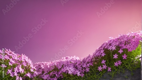  Purple flowers on purple and pink background, pink sky in front, purple sky behind