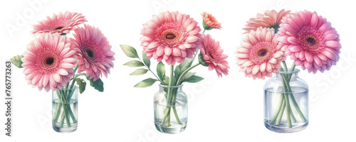 Watercolor illustration material set of pink gerbera in a glass vase 