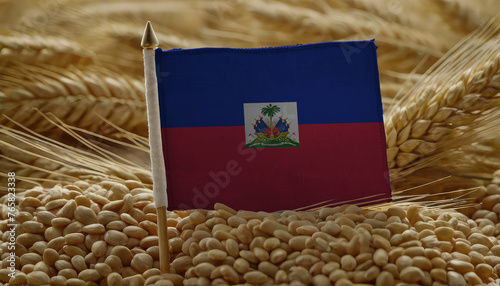 Haiti flag in wheat grain pile as background. Concept of food shortage, grain supply crisis and global food scarcity.