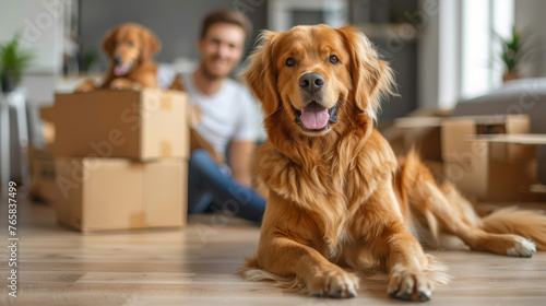 Family with pets moving to new home. Stack of cardboard boxes and dog sitting near cardboard box. Relocation, renovation, delivery service, donation concept. Generative ai