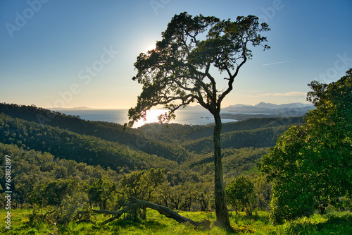 Chemin des cretes oberhalb von Lavandou in Südfrakreich