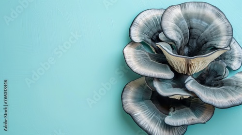 Black trumpet mushroom on a soft pastel background for improved search result relevance