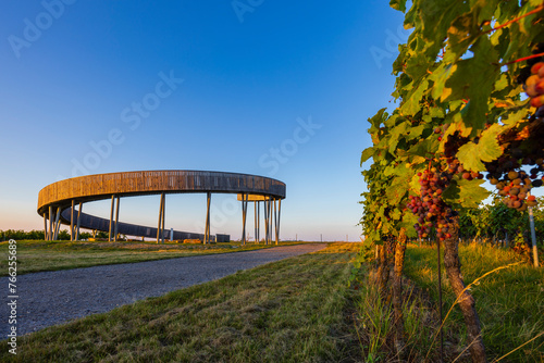 Trail above the vineyards lookout point, Kobyli vrch, Kobyli, Southern Moravia, Czech Republic