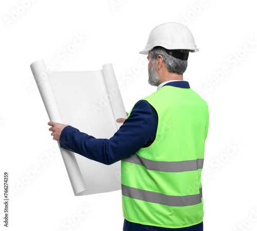 Architect in hard hat holding draft on white background, back view