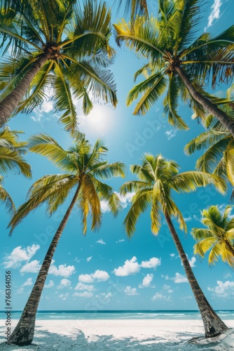 Tropical Beach Perspective: Clear Blue Sky, Palm Trees, and Summer Background Generative AI
