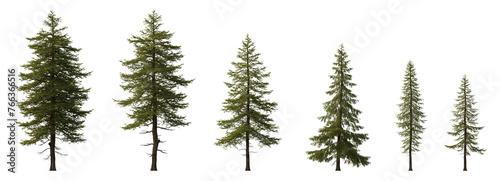 Larix decidua the European larch tree frontal set evergreen pinaceae needled tree isolated png medium and small on a transparent background perfectly cutout