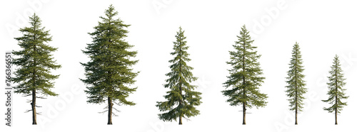 Larix decidua the European larch tree frontal set evergreen pinaceae needled tree isolated png medium and small on a transparent background perfectly cutout