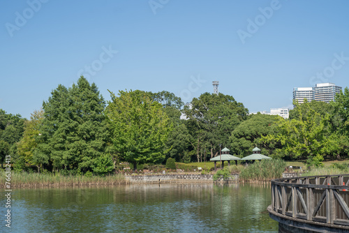 真夏の快晴の空の下、千葉県柏市の柏の葉公園