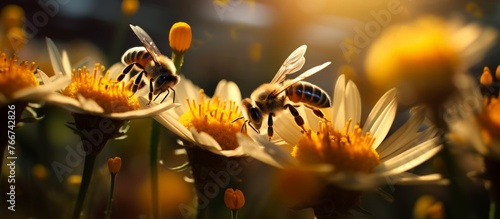 A group of pollinator insects, specifically bees, are gathered on a flower in a field. The arthropods are sitting on the petals, gathering water and preparing for their pollination event