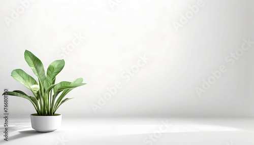 An original light background image with a slight shadow of a plant for the presentation of various products or goods. 