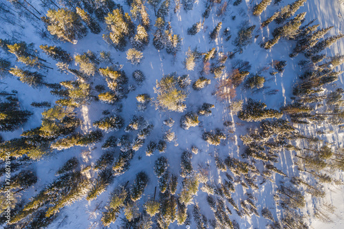 Aerial view on a snow covered boreal forest just after sunrise in Finnish south Lapland