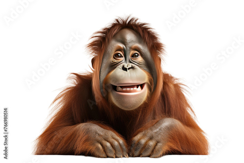 Cheerful Monkey Smiling Happily. On a Clear PNG or White Background.