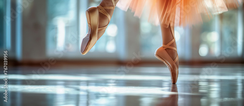 Ballerina, ballet arts, dance and performance