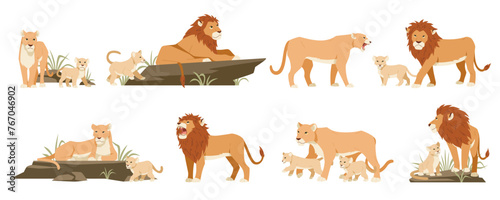 Cartoon lions. Cute lionesses and cubs, wild animals, jungle predators of feline family in different poses, pride in savannah, king of beasts, zoo park, tidy vector set isolated background