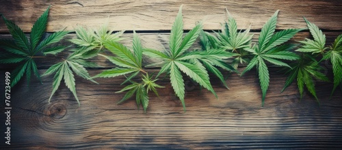 Close-up of marijuana leaves on wooden surface