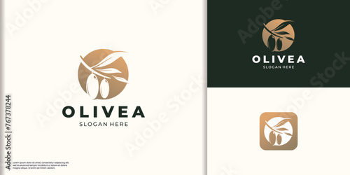 silhouette Olive logo in circle shape concept. olive branch icon nature beauty and health