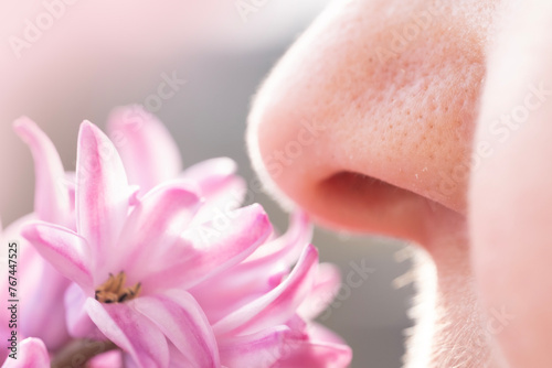 close-up Female nose lights up with delight savors sweet scent hyacinth, capturing joy of springtime and beauty of nature, while also raising awareness of seasonal allergies, Sensory Experience
