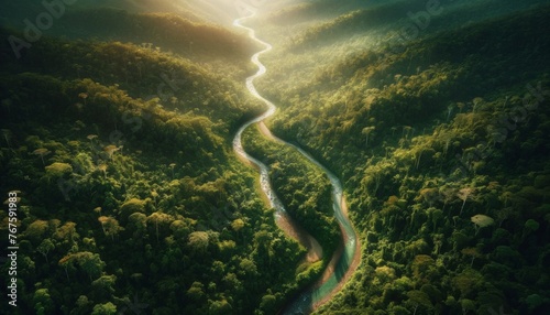 An aerial view of a meandering river flowing through a lush rainforest.