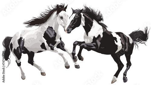 Piebald Horses Jumping flat vector isolated on white