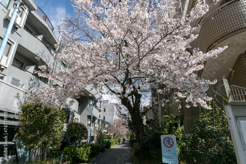 井草川遊歩道（東京都杉並区下井草5丁目19・井荻エリア）