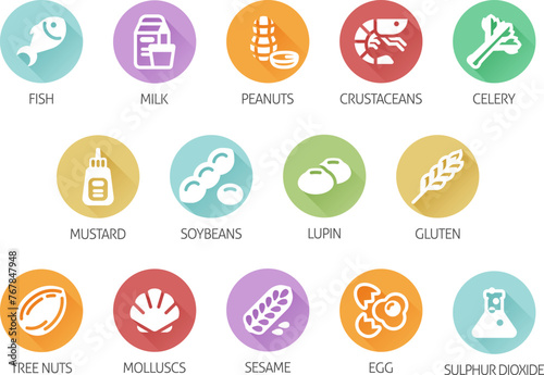 Food allergen allergy icons. include big 8 FDA Major Allergens and 14 food allergies from the EU Food Information for Consumers Regulation EFSA European Food Safety Authority Annex II