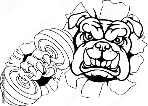 A bulldog dog weight lifting gym animal sports mascot holding a dumbbell in its claw