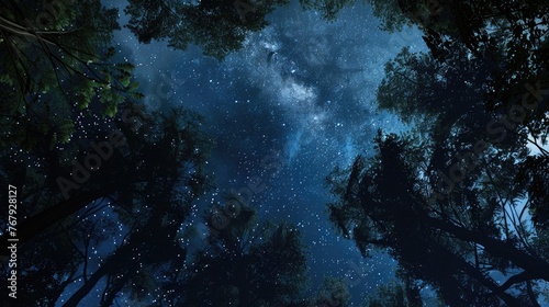 stary night looking up in forest, 