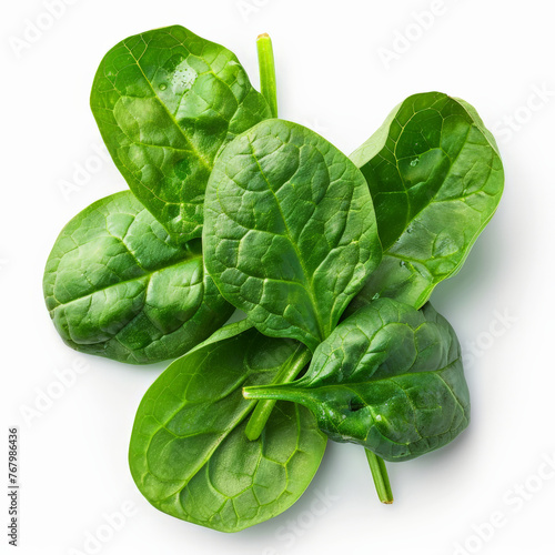 spinach, vegetable, spinach, food, leaf, green, fresh, salad, lettuce, healthy, leaves, isolated, organic, raw, diet, cabbage, vegetarian, white, plant, ingredient, nutrition, agriculture, vegetables,